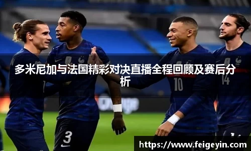多米尼加与法国精彩对决直播全程回顾及赛后分析